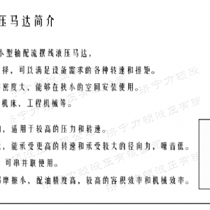 必赢（中国）侧油口系列马达