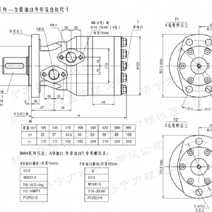 BMH系列交错油口必赢官方网站马达